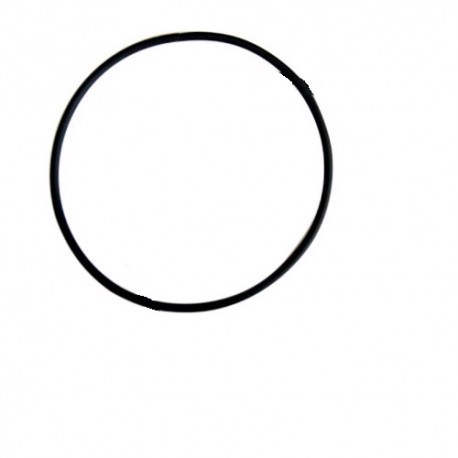 Nasa O-ring t.b.v. instrumenten - 00440971 01 small - 00440971